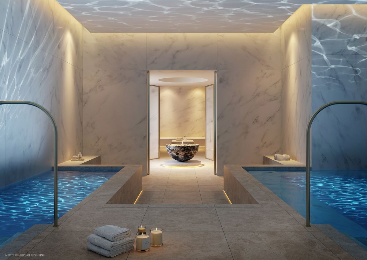 Spa  Hot and Cold Plunge Pools 1